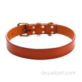 OEM Leder Hundehalsband Echtes Leder